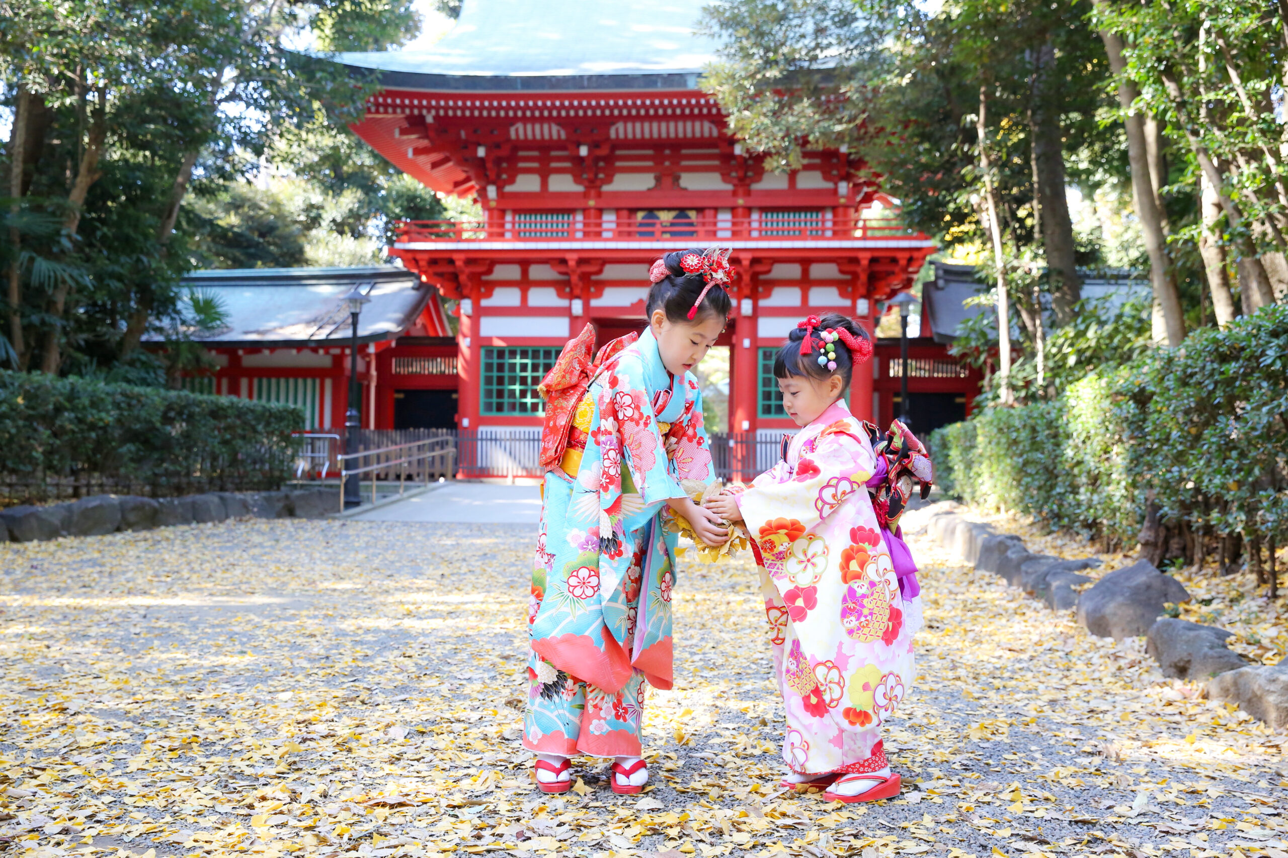 姉妹でお着物、華やかな七五三【井草八幡宮/杉並区】 | 出張撮影バロン